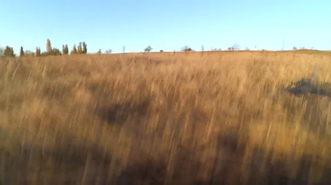 Drone falling down from the sky onboard footage Stock Footage 57464773