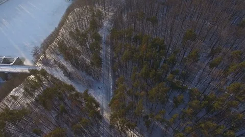 Drone falling down at winter forest because of radio interference Stock Footage 71446837