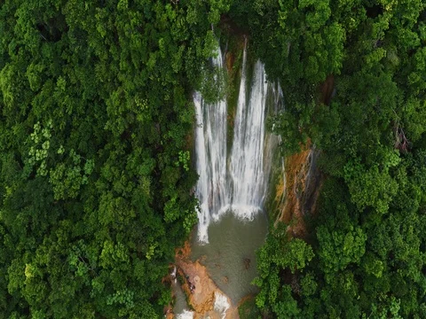 The drone falls down to the waterfall. Beautiful view from above. Palm trees Stock Footage
