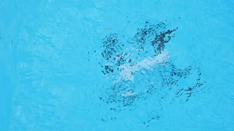 The drone falls into the water. Stock Footage 123124040