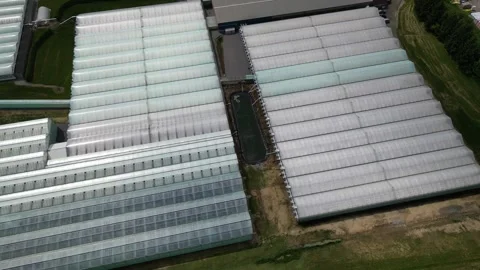 Drone - Far Away Left to Right of Greenhouses + Christie Lake Stock Footage 314227909