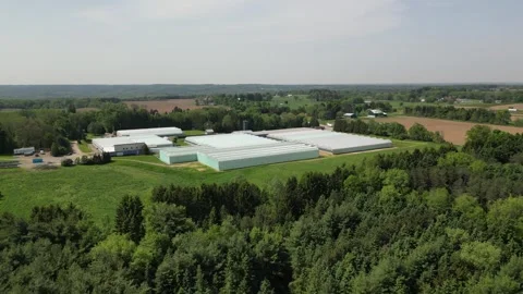 Drone - Far Away Left to Right Over Trees of Greenhouses (nice) Stock Footage 314227972