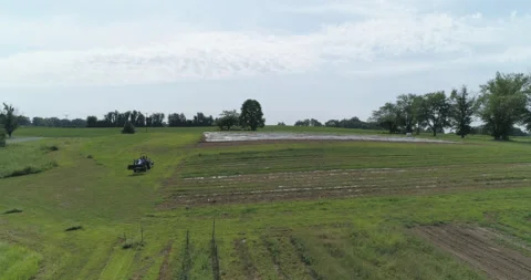 Drone Farm 5 Stockbeeldmateriaal 132817543