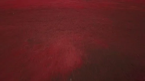 Drone fast forward shot red yellow volcanic mars planet in Iceland 2K Stock Footage 148748270