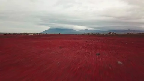 Drone fast forward shot of wild and desert red volcanic landscape in Iceland, 2K Stock Footage 148753717