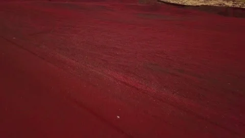 Drone fast forward shot of wild red to yellow volcanic landscape in Iceland, 2K Stock Footage 148753803