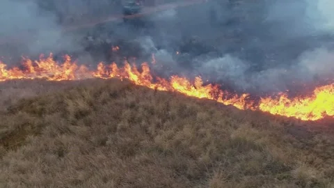 Drone Fast Pan Shot of fire and smoke, prescribed, controlled burns, prevention Stock Footage 292231909