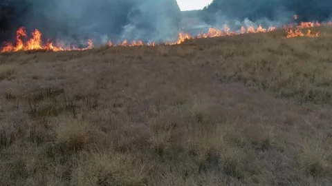 Drone Fast zoom over fire flames and smoke, prescribed controlled fire in grass Stock Footage 292231914