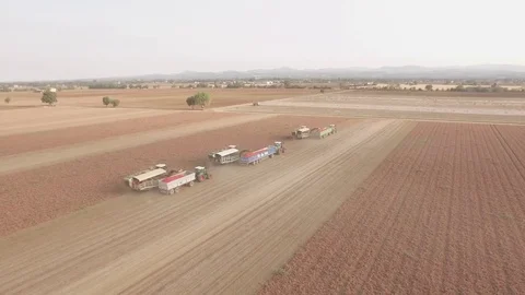 Drone on a Field with Tractors 4K Pro Res Stock Footage 80193085