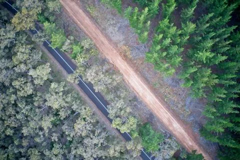 Drone field of view of pine forest and road Western Australia Stock Photos
