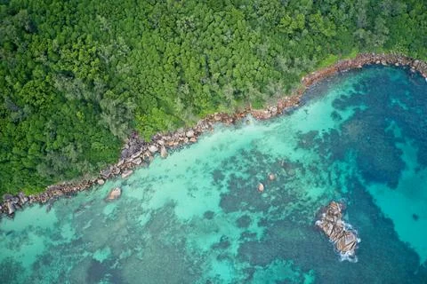 Drone field of view of turquoise blue waters meeting green forest Seychelles Illustrazione stock
