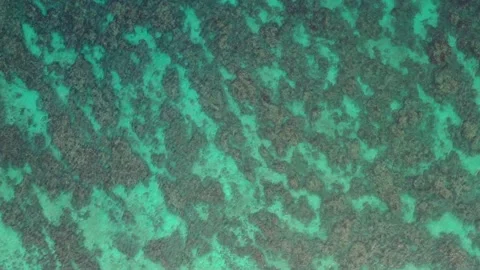 Drone field  of view of turquoise clear waters in Seychelles Stock Footage 152261748
