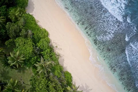Drone field of view of waves along empty beach and forest Praslin, Seychelles Stock Photos