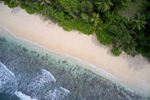 Drone field of view of waves, sand, sea and forest Praslin Seychelles. Stock Photos