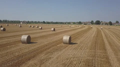 Drone fields Italy 스톡 동영상 234887147