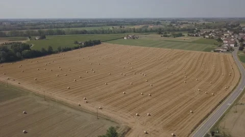 Drone fields Italy 스톡 동영상 234887217