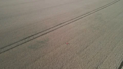 Drone filming another drone over a wheat field Stock Footage 212404612