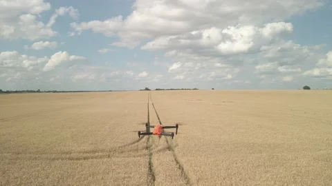 Drone filming another drone taking off over a wheat field Stock Footage 212402387