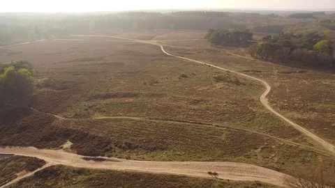 Drone filming beautiful heath with paths in The Netherlands Stock Footage 75349549