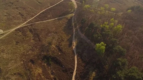 Drone filming beautiful heath with paths in The Netherlands Stock Footage 75349652