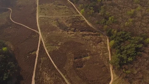 Drone filming beautiful heath with paths in The Netherlands Stock Footage 75349880