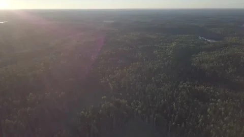 The drone is filming the Forest under the scorching summer sun of Abkhazia. Stock Footage 150109109