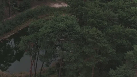 Drone filming guys making campfire 動画素材 84938529