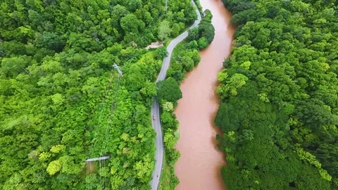 Drone filming the river through the green forest Stock Footage 313343758