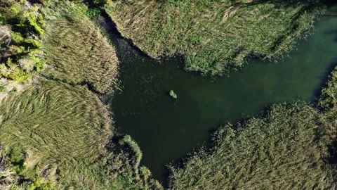 Drone Flat View of Bassa Gran in Parc de la Mitjana Stock-Footage 286050942