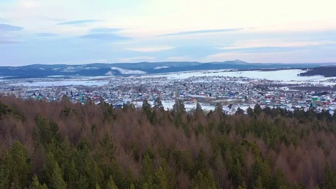 The drone flew and hit the top of the tree Stock Footage 125550620