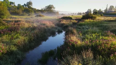 The drone flew over a field of wild flowers Video stock 170938926
