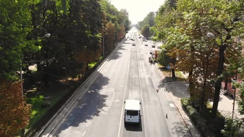 Drone flew over the road and caught on a branch and fell. The drone crashed Stock Footage 142276310