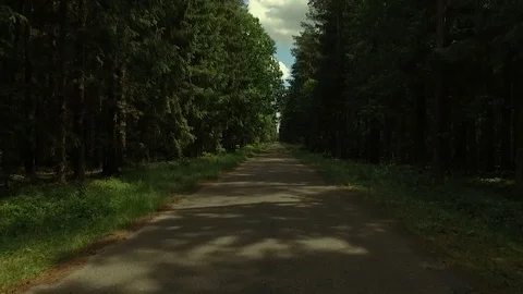 The drone flies above the forest path. Stock Footage 111413972