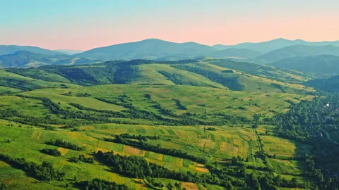 Drone flies above hillside and forest Stock Footage 138754231