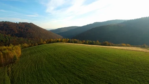 The drone flies above the meadow in Bieszczady. 動画素材 106960031
