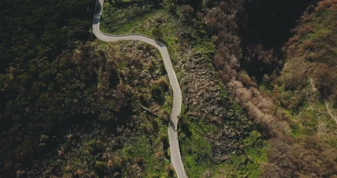 Drone flies above narrow mountain road. Aerial top view of forest driveway Video stock 86183853