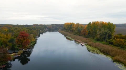 Drone flies above surface of canal surrounded with trees with autumn foliage Stock Footage 263128678