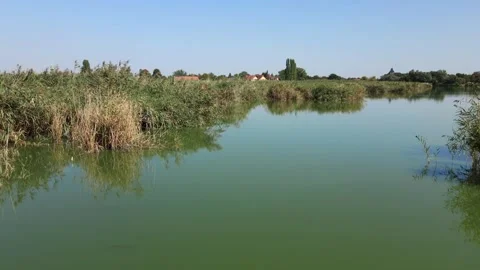 Drone flies above surface of lake Krvavo jezero in town Subotica, Serbia Video stock 269540518