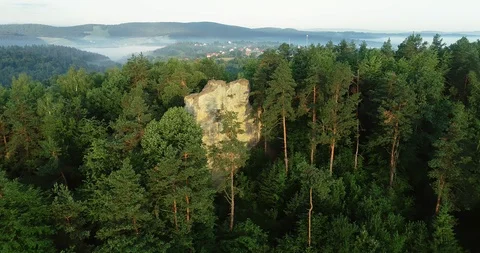The drone flies above the trees. Stock Footage 108010517
