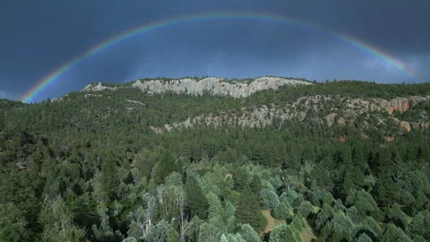 Drone Flies Across Forest Toward Rainbow Video stock 252457257