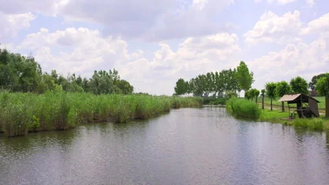 Drone flies across a rippling surface of a lake and reeds in it Stock Footage 262902969