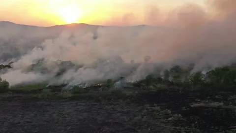Drone flies along the forest fire 4k Stock Footage 246781579