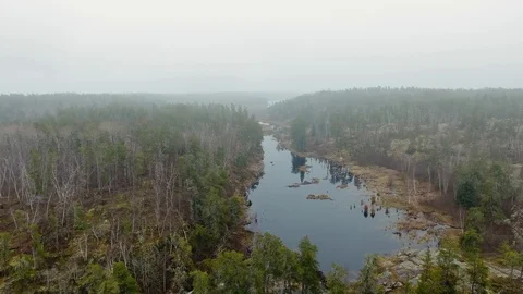 Drone flies along a pond between the shores with autumn forest and foggy horizon Stock-Footage 126082428