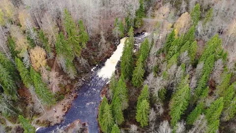 Drone flies along a river in a forest above a waterfall Stock Footage 129098870