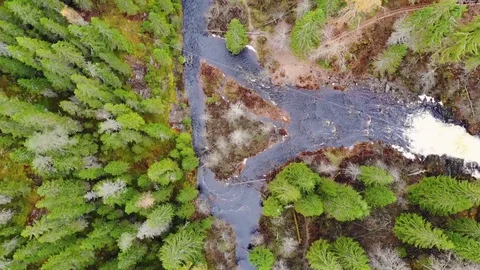 Drone flies along a river in a forest above a waterfall Stock Footage 129098917