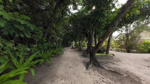 The drone flies along the sandy road of the island Video stock 299227147