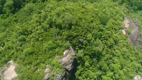 Drone flies along the Seychelles Stock Footage 155405985