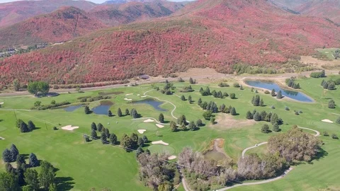 Drone flies up and back and it shows the green of the golf course Stock Footage 87191707