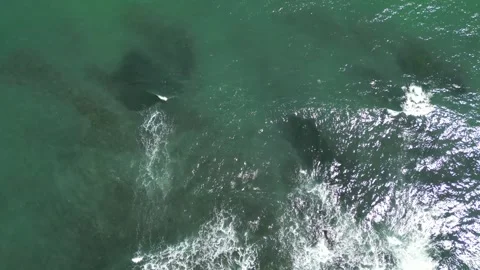 The drone flies around the cape from a birds eye view. Bulgaria, Burgas. Stock Footage 344156460
