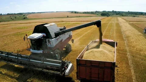 Drone flies around harvester unloading grain in the back of a truck Video stock 136442431